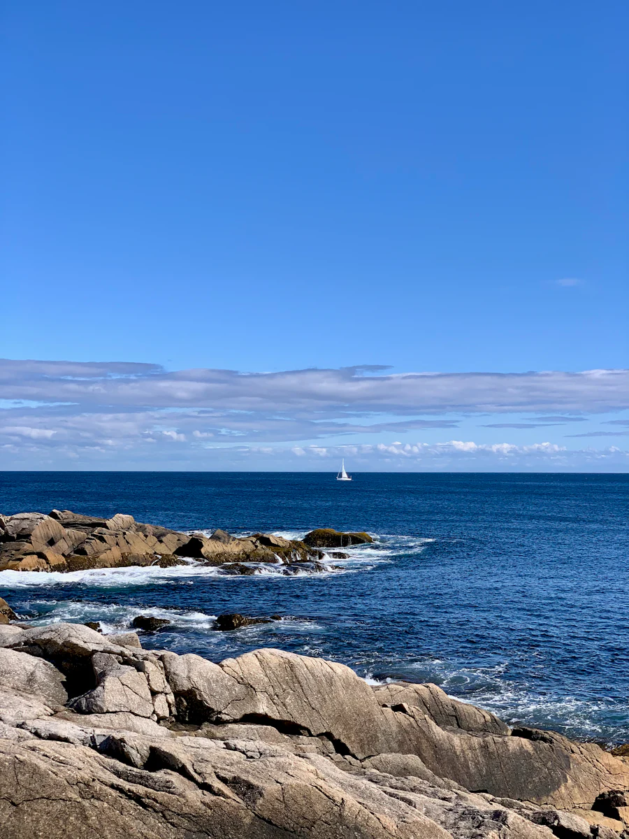 Survival at Sea: The Climate Change Threats Facing Northwest Atlantic Shellfish