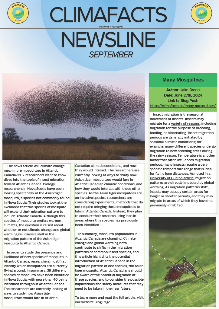 Newsline – Issue 1 (September 2024)