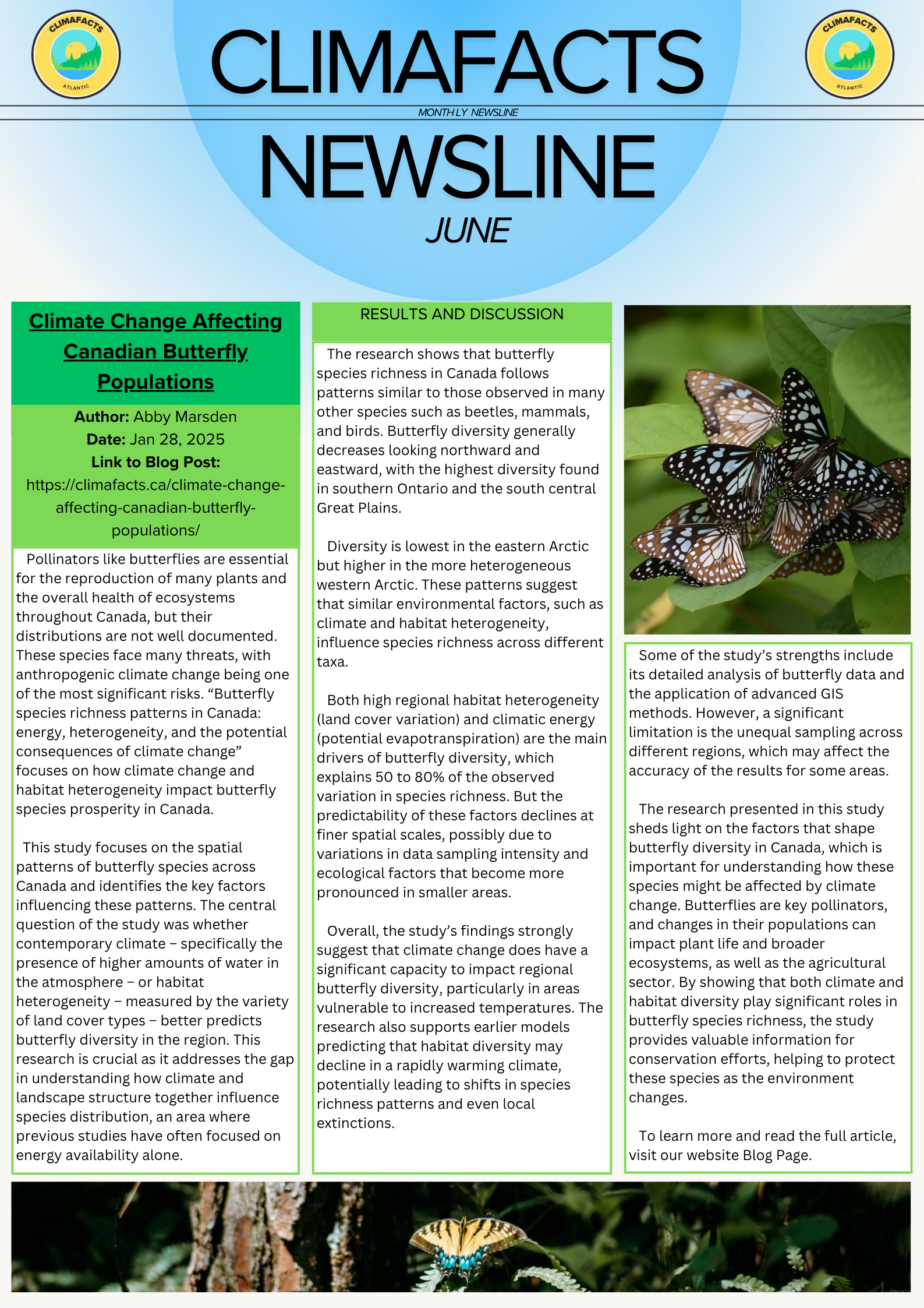 Newsline – Issue 5 (June 2025)