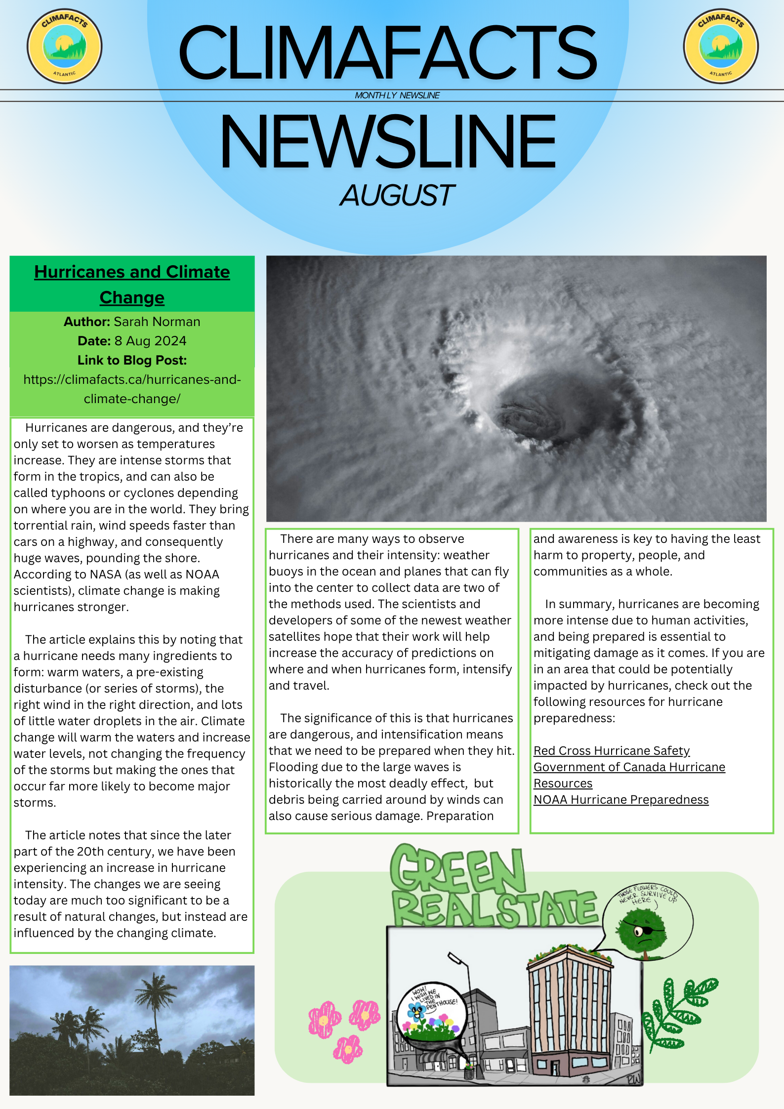 Newsline – Issue 6 (August 2025)