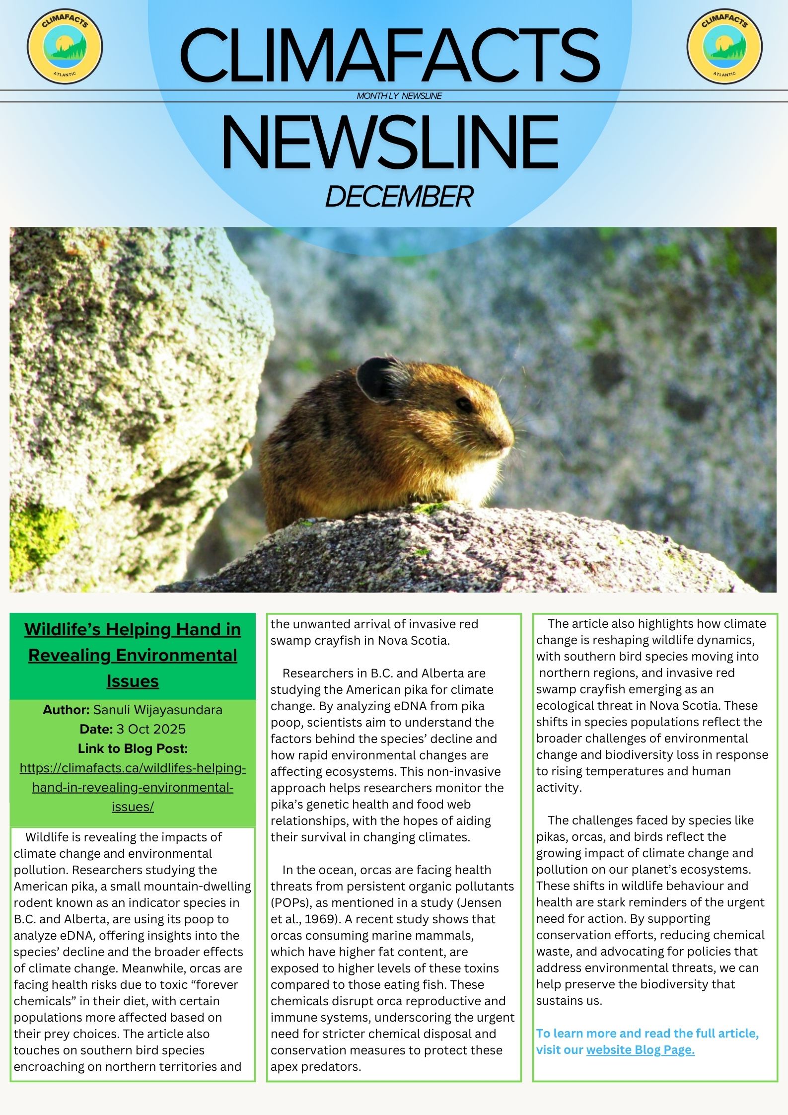 Newsline – Issue 8 (December 2025)