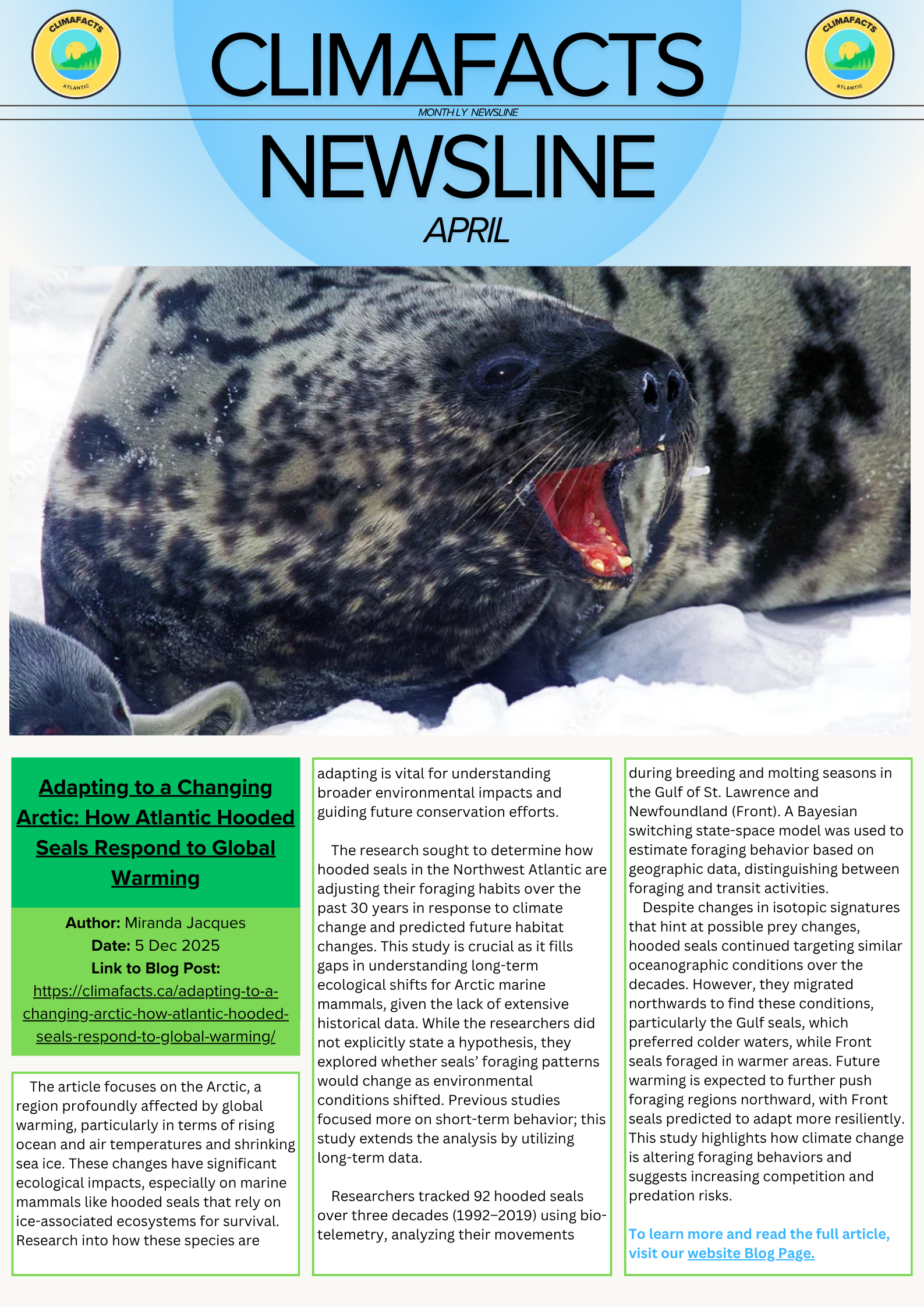 Newsline – Issue 10 (May 2026)