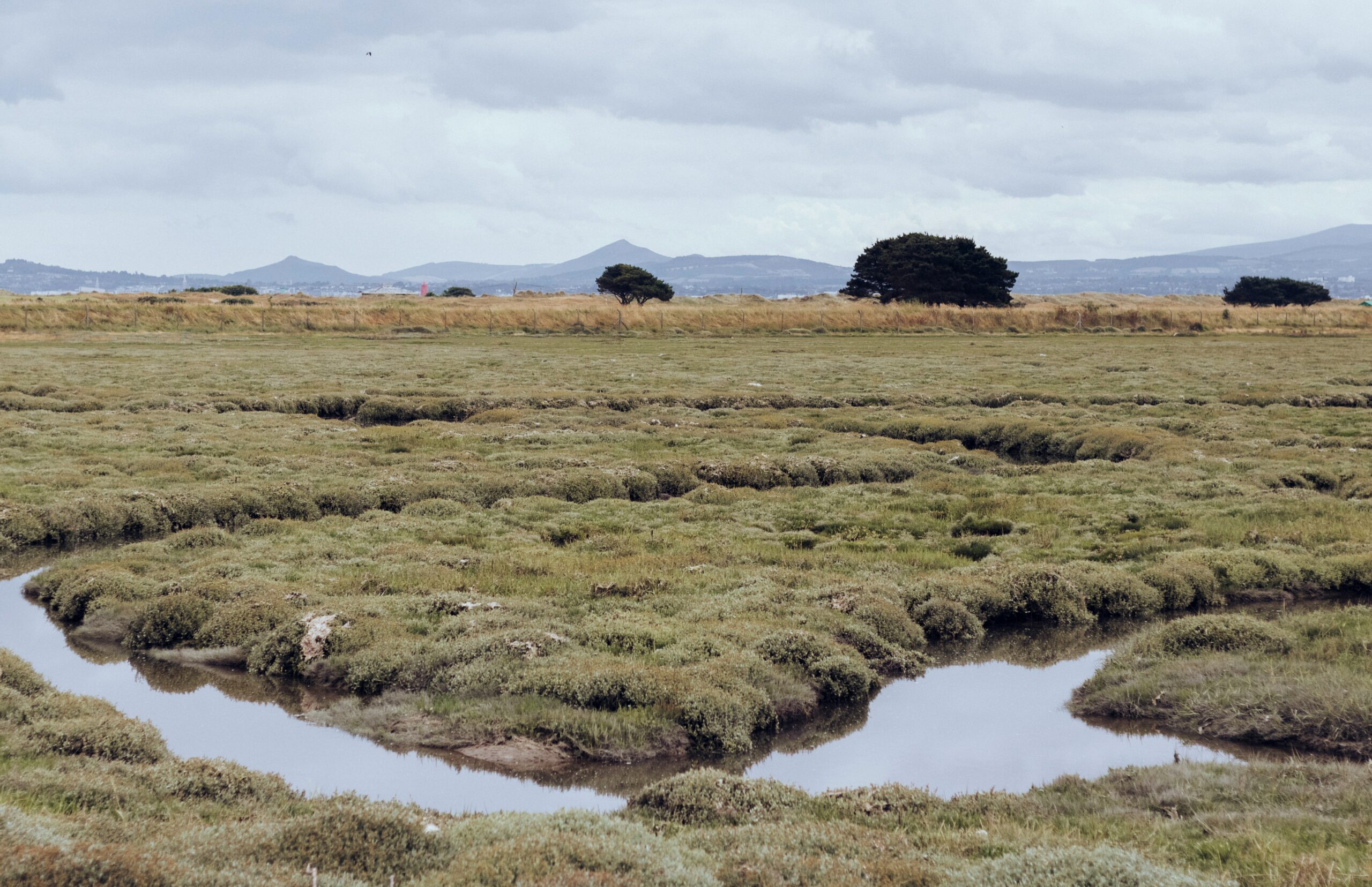 Peatlands: Important, Unprotected, and Under Threat