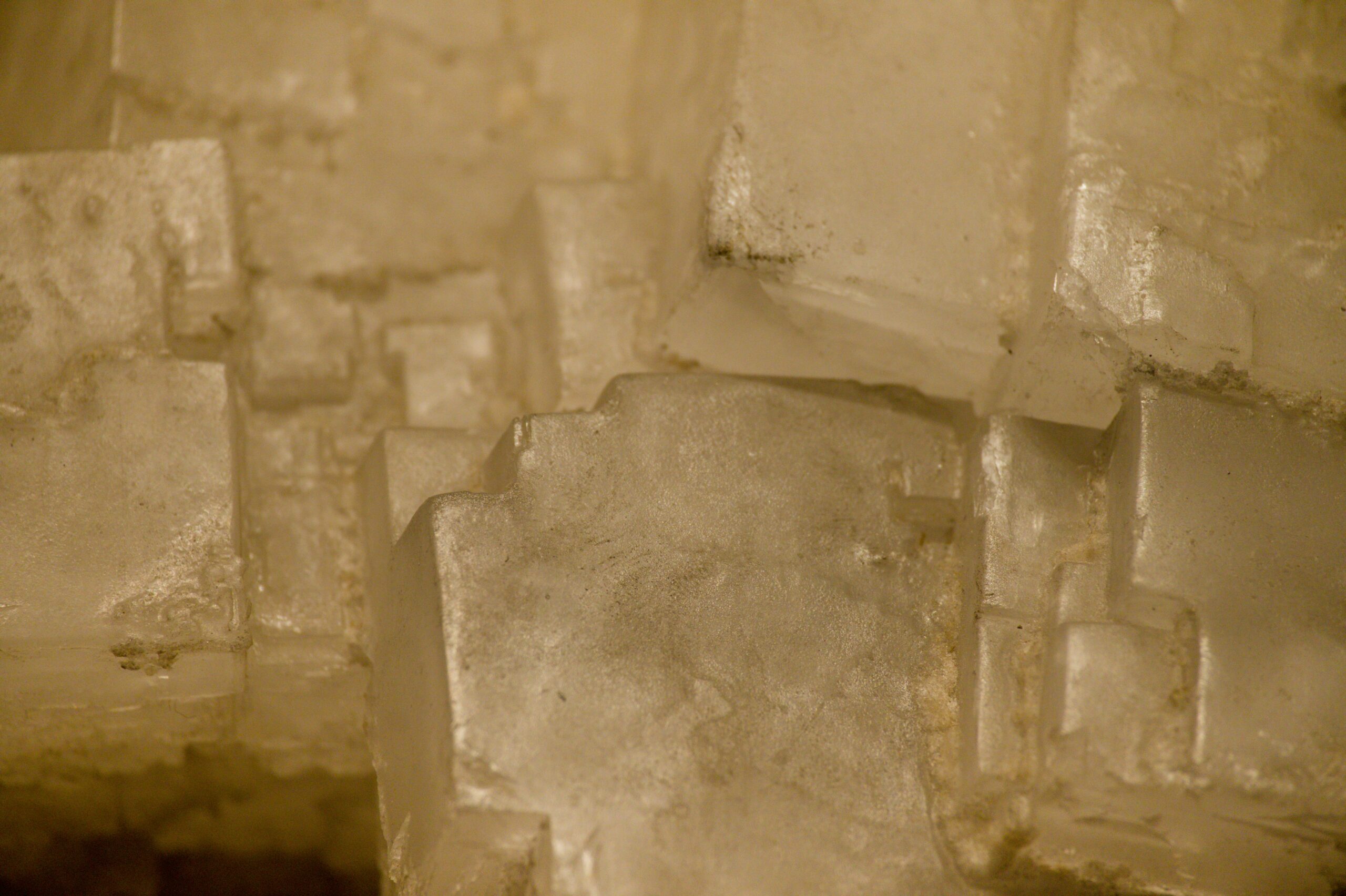 Industry Revived: Repopulation of the Salt Deposits near Sussex, N.B.