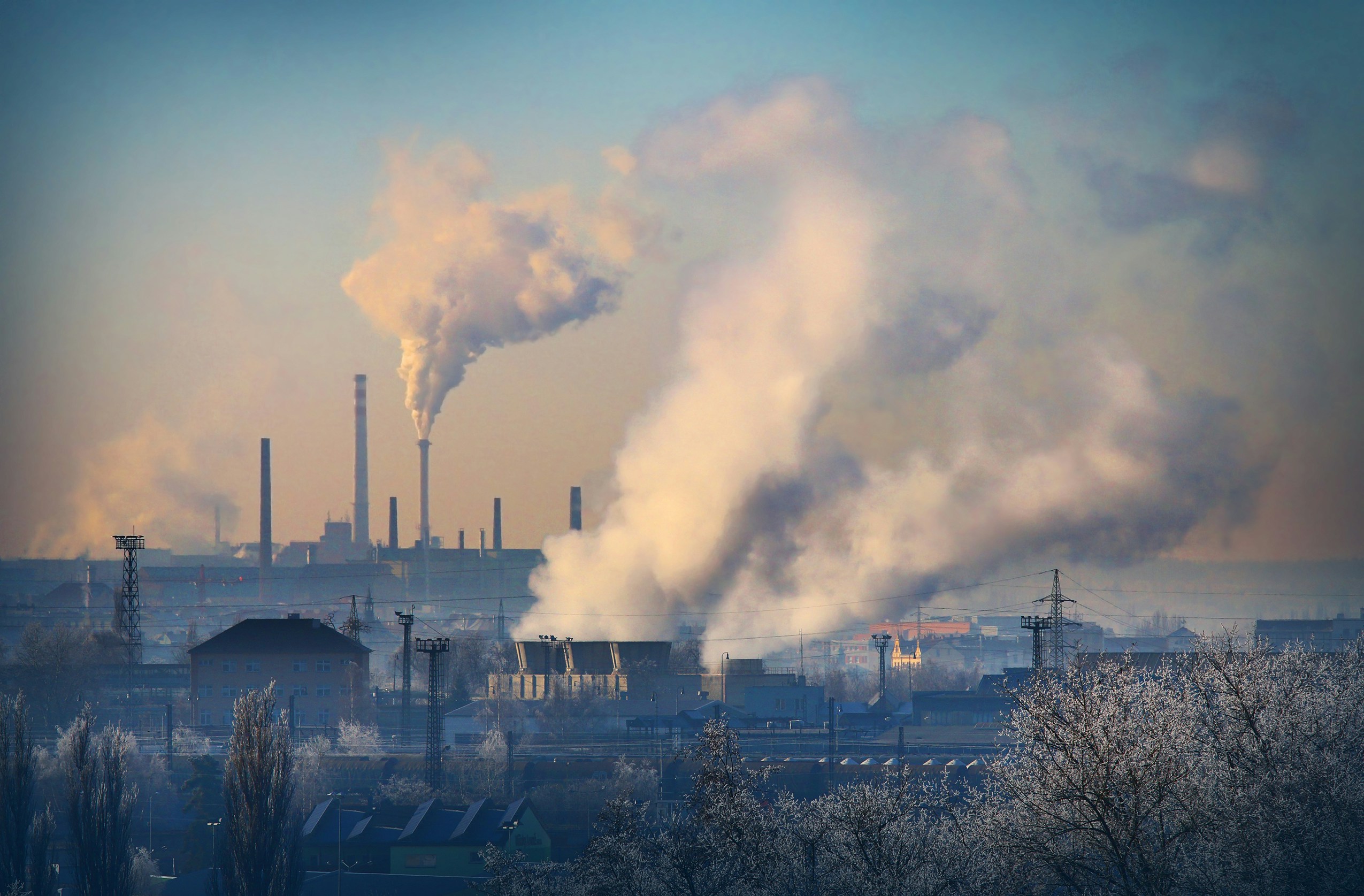 New Brunswick’s Industrial Carbon Price System: Problems and Prospects