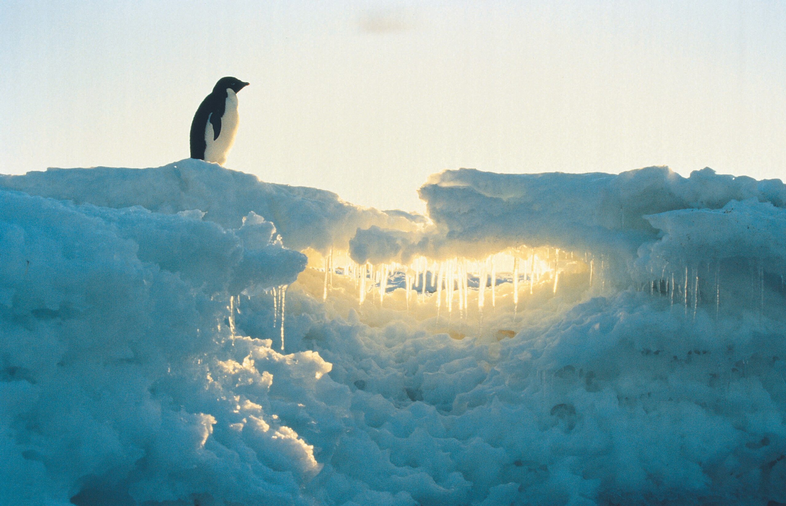 Canada and Antarctica: Significance, Diplomacy, and Expedition