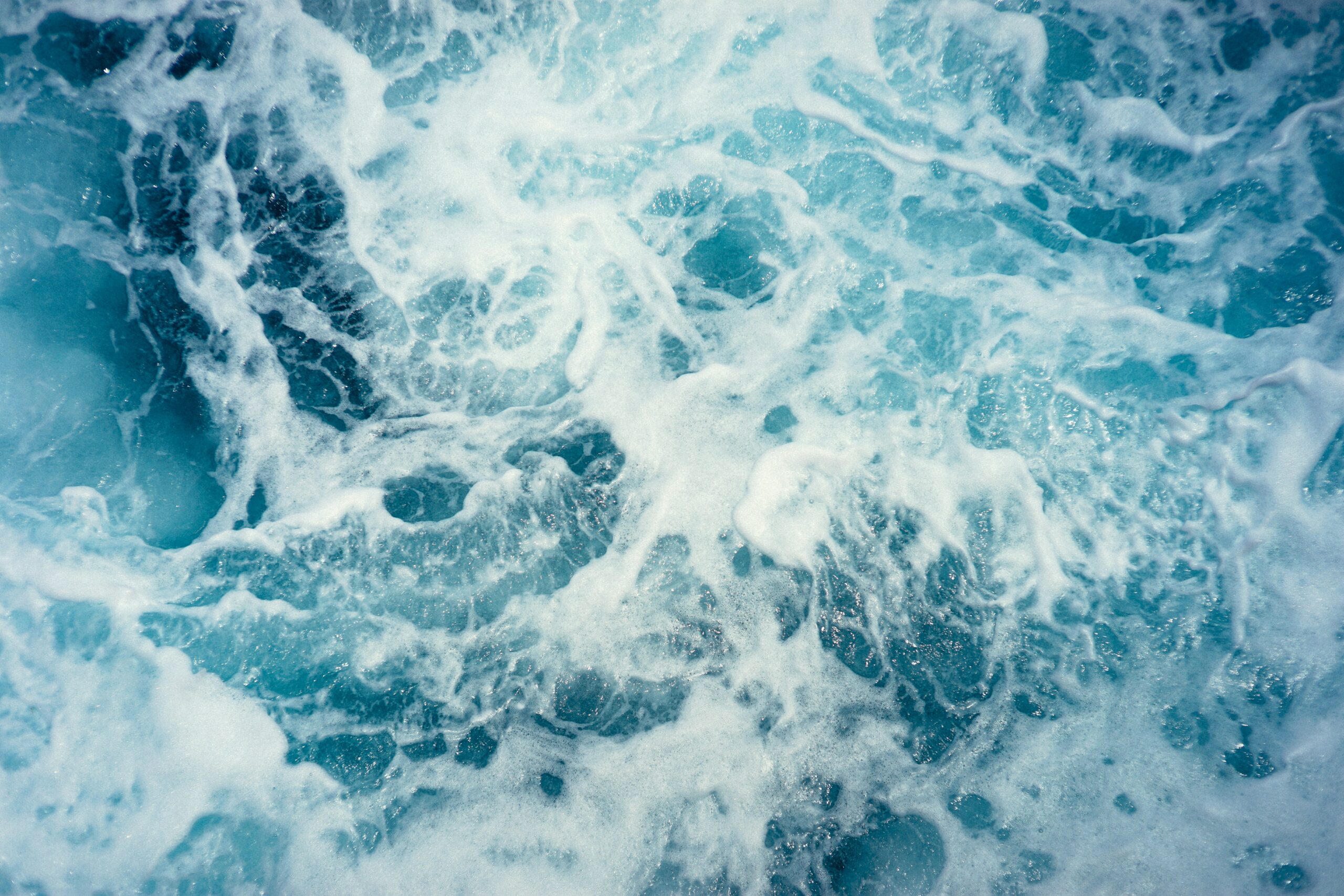 The Ocean is Becoming More Acidic: Effects and Significance